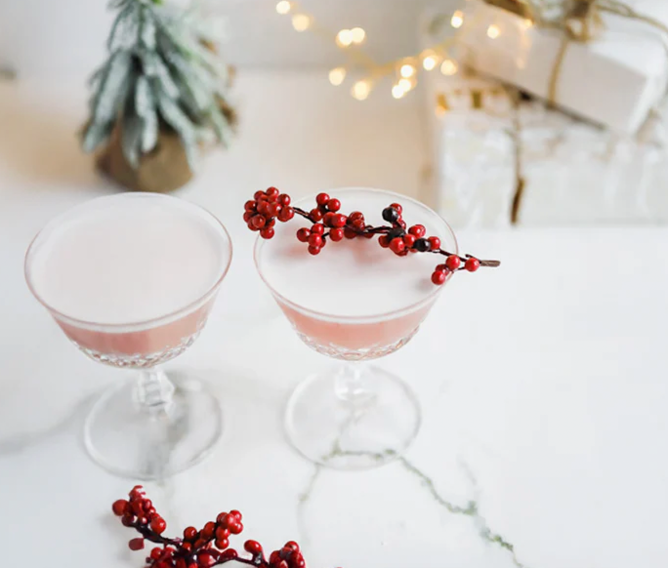 Cranberry Gin Mocktail